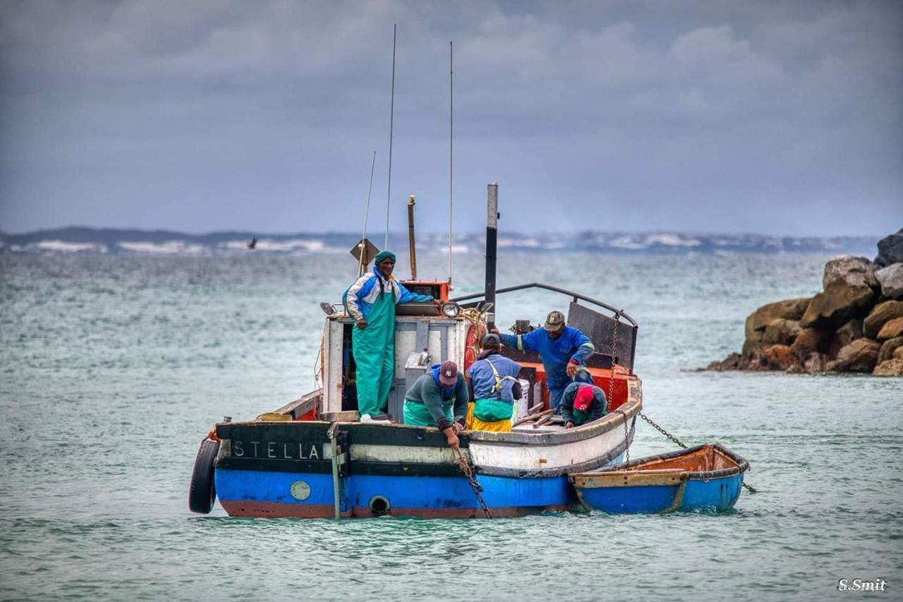 Mermaid Guest House Struisbaai Εξωτερικό φωτογραφία